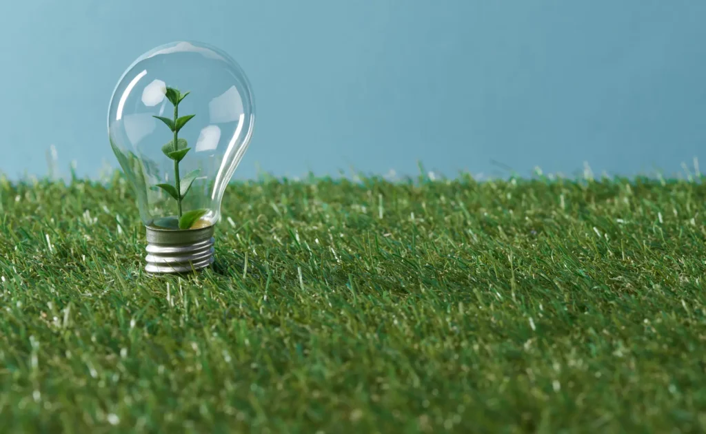 light bulb with plant on green grass and blue back 2024 11 19 04 28 00 utc